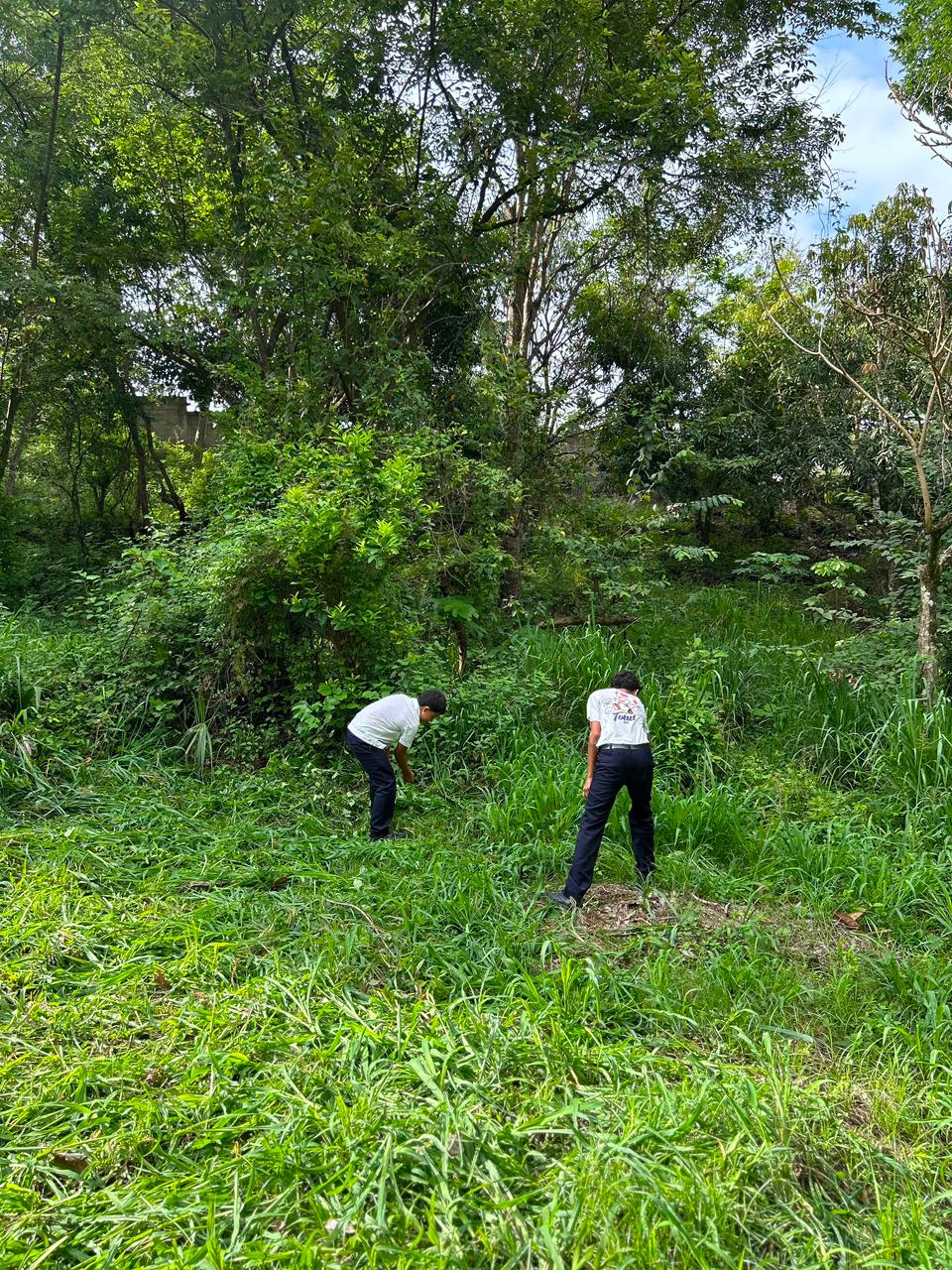 Agropecuaria 1