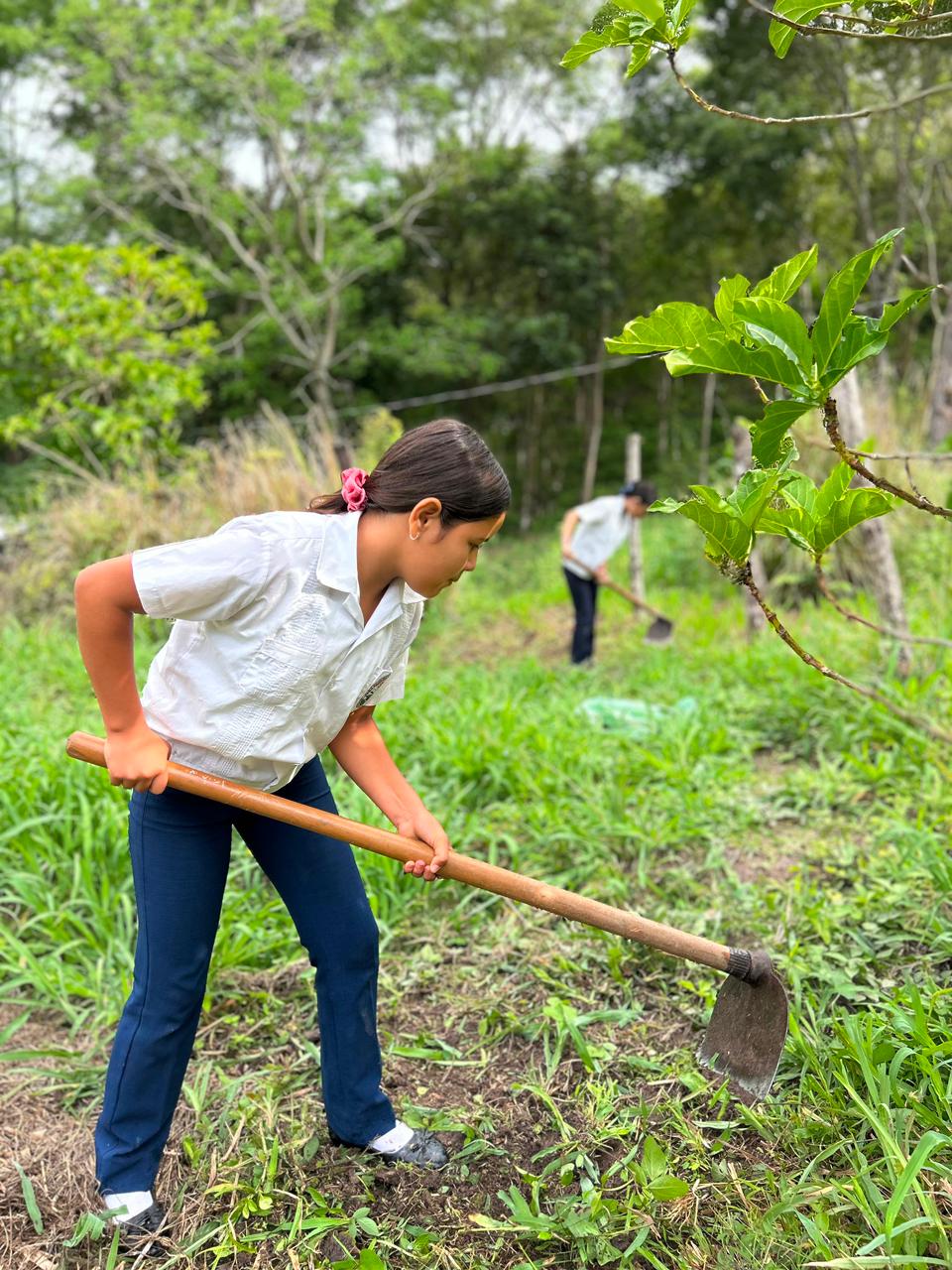 Agropecuaria 4