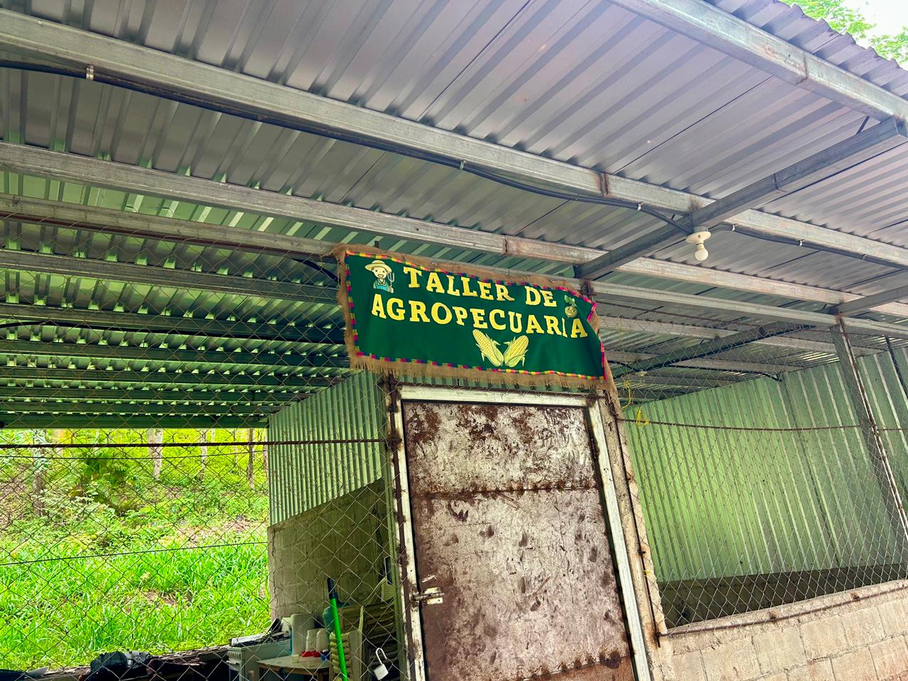 Proyecto Agropecuaria 5