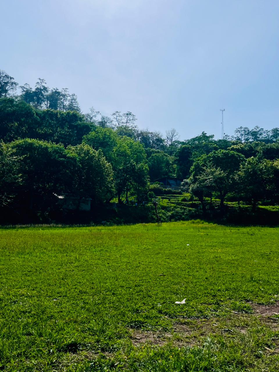 Campo de fútbol 7