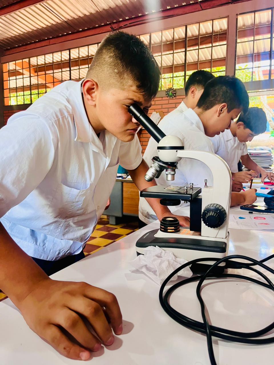 Laboratorio 11